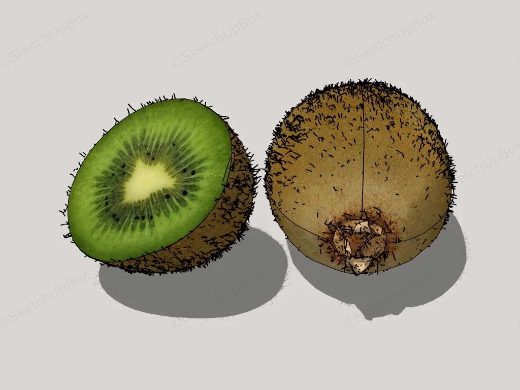 Green Kiwifruit sketchup model preview - SketchupBox