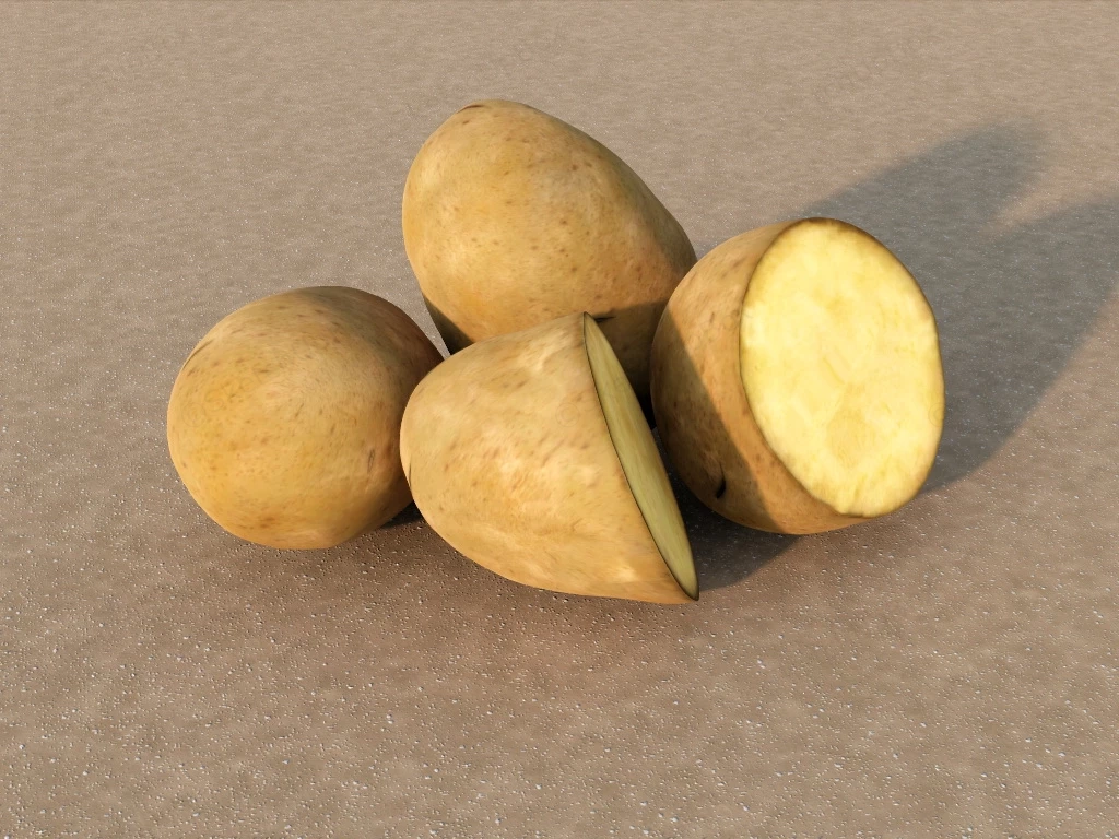 Raw Potatoes sketchup model preview - SketchupBox
