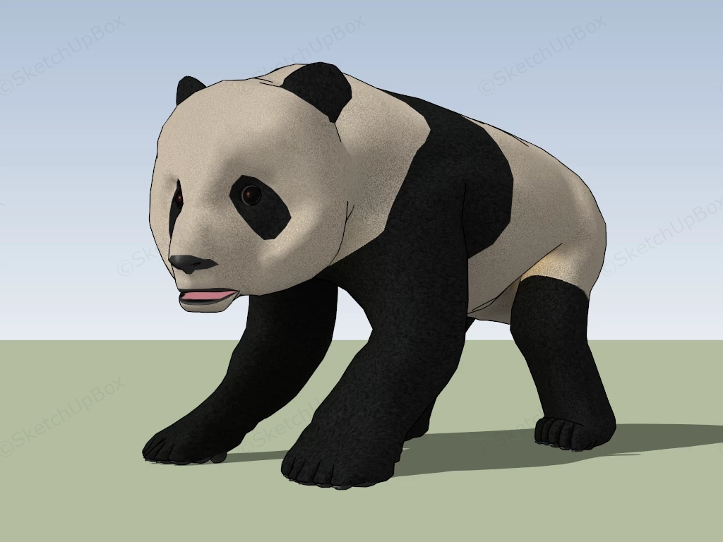 Panda Animal sketchup model preview - SketchupBox