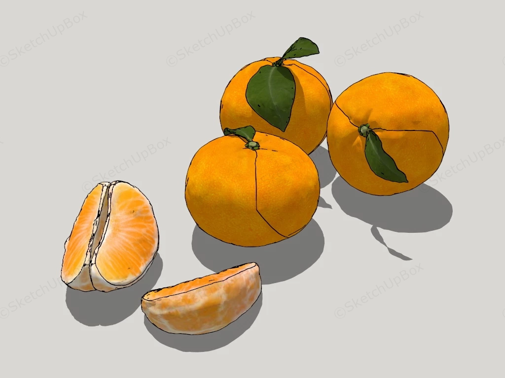 Mandarin Fruit sketchup model preview - SketchupBox