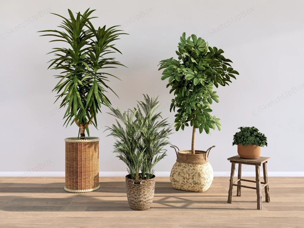 Indoor Plant Decor sketchup model preview - SketchupBox