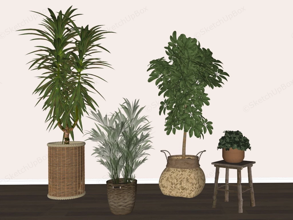 Indoor Plant Decor sketchup model preview - SketchupBox
