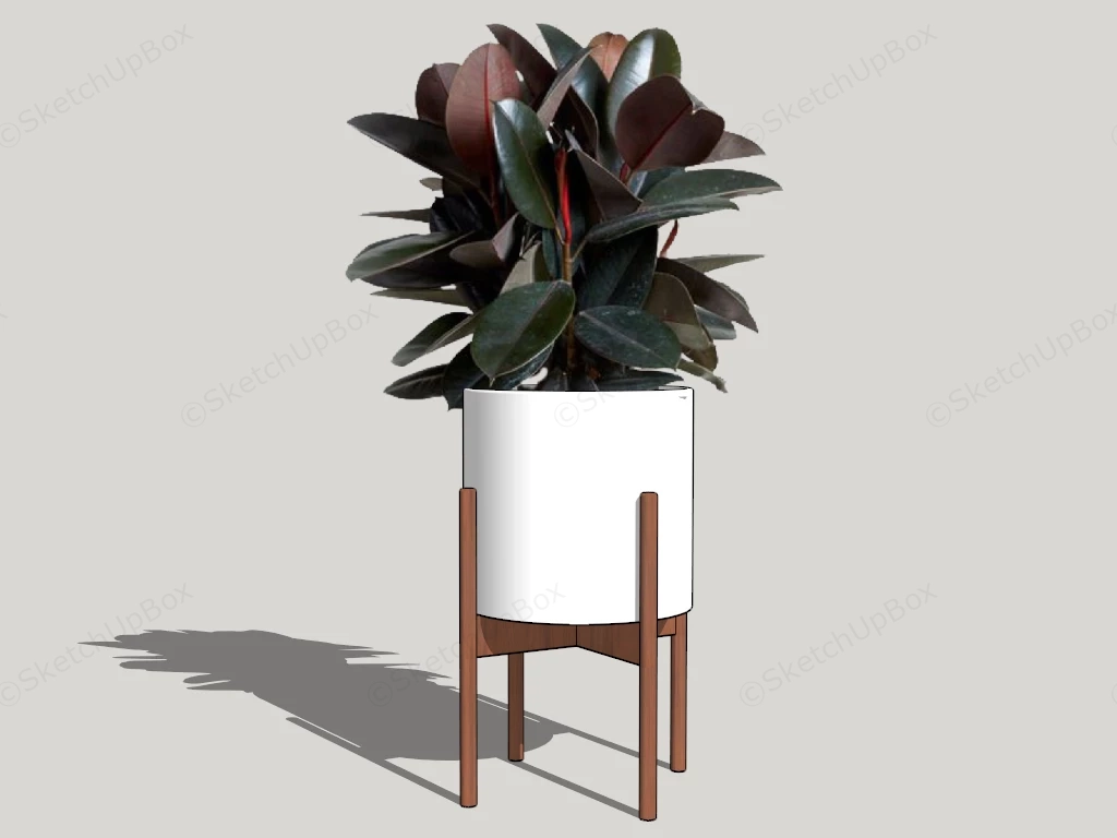 Indoor Rubber Tree Plant sketchup model preview - SketchupBox