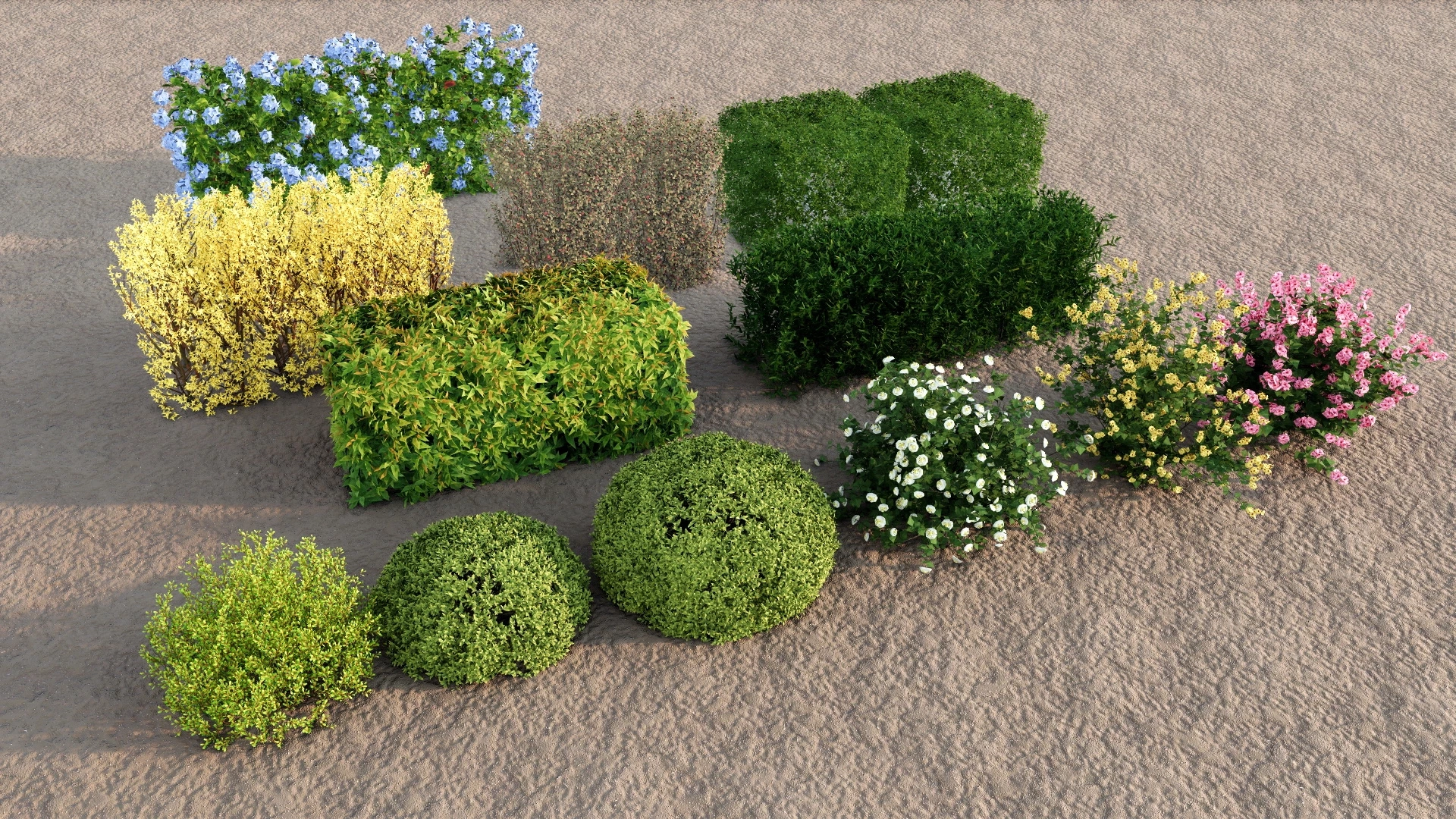 Landscape Hedge Shrubs sketchup model preview - SketchupBox
