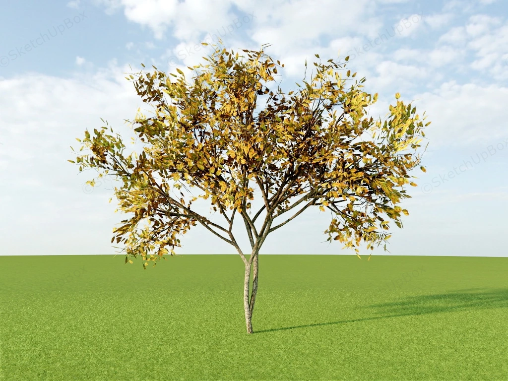 Small Autumn Tree sketchup model preview - SketchupBox