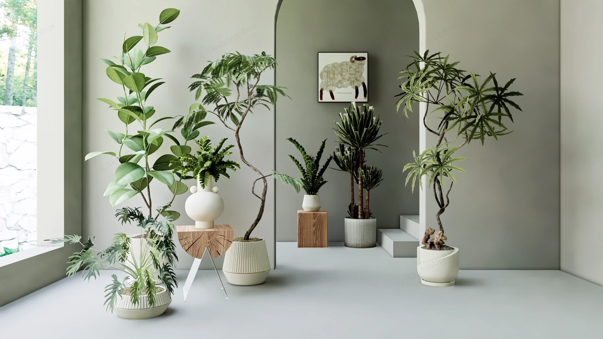Beautiful Indoor House Plants sketchup model preview - SketchupBox