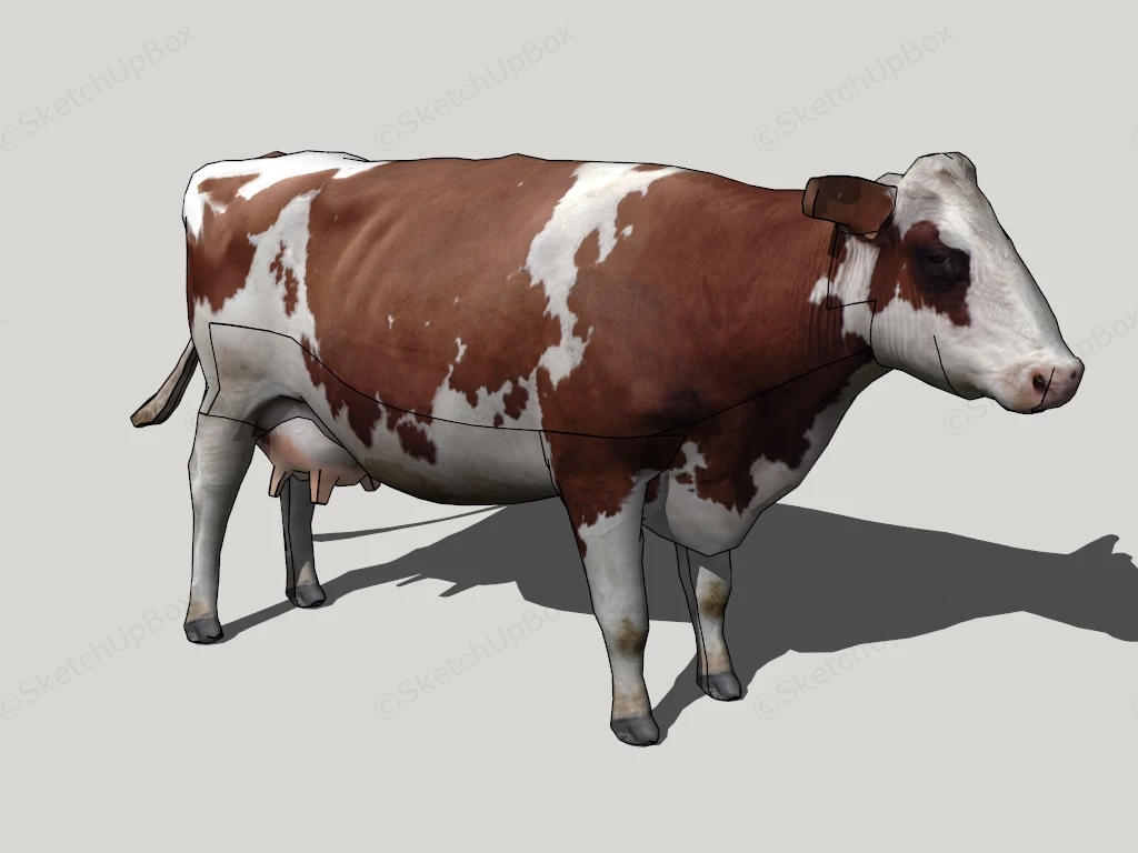 Dairy Cattle sketchup model preview - SketchupBox