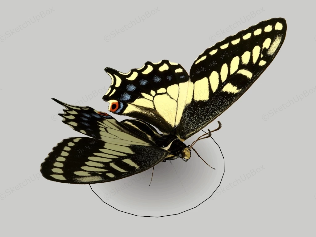 Yellow & Black Butterfly sketchup model preview - SketchupBox