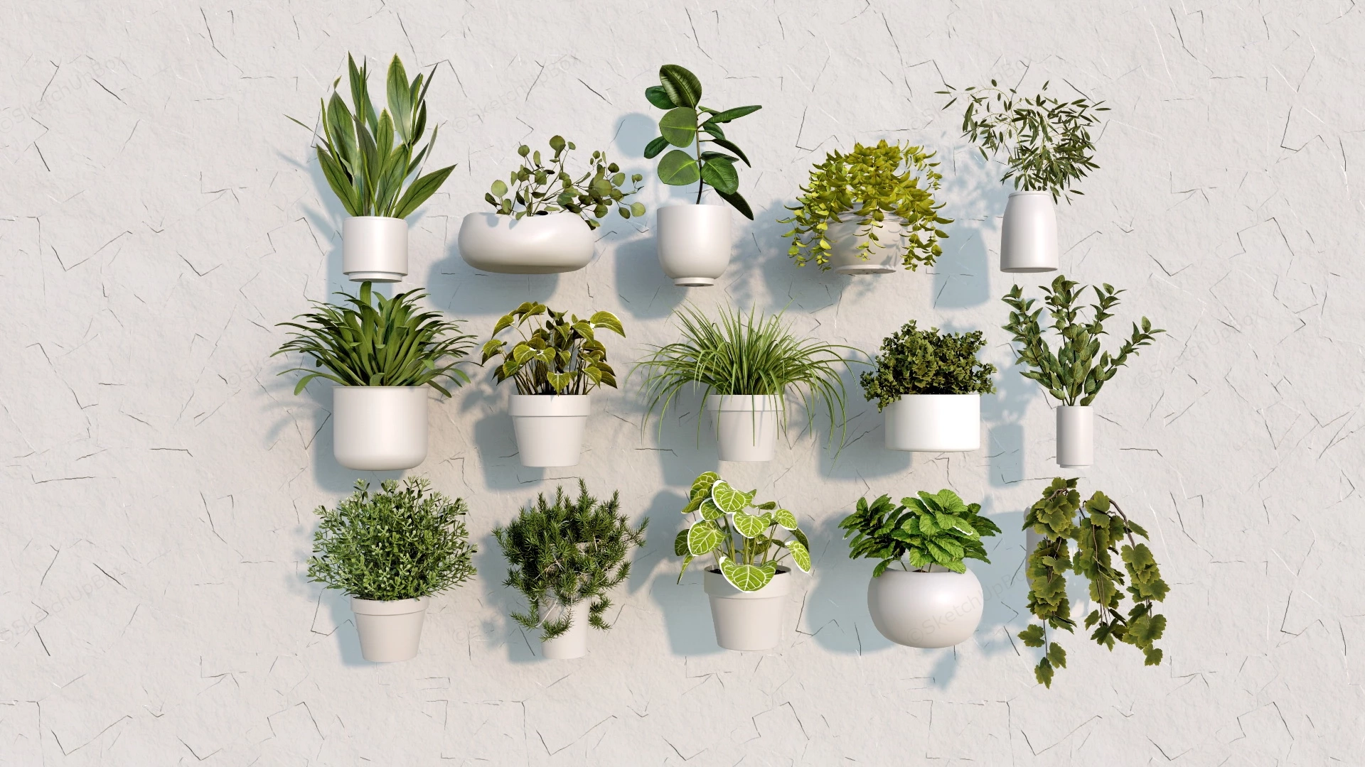 Small Indoor Plants sketchup model preview - SketchupBox