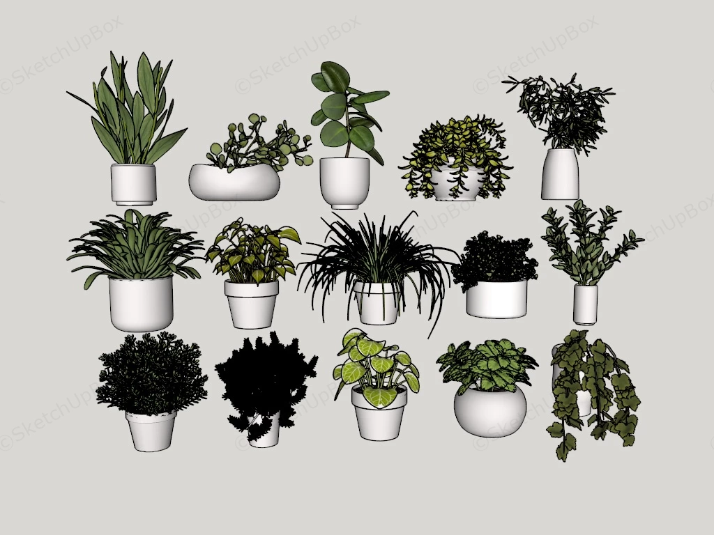 Small Indoor Plants sketchup model preview - SketchupBox