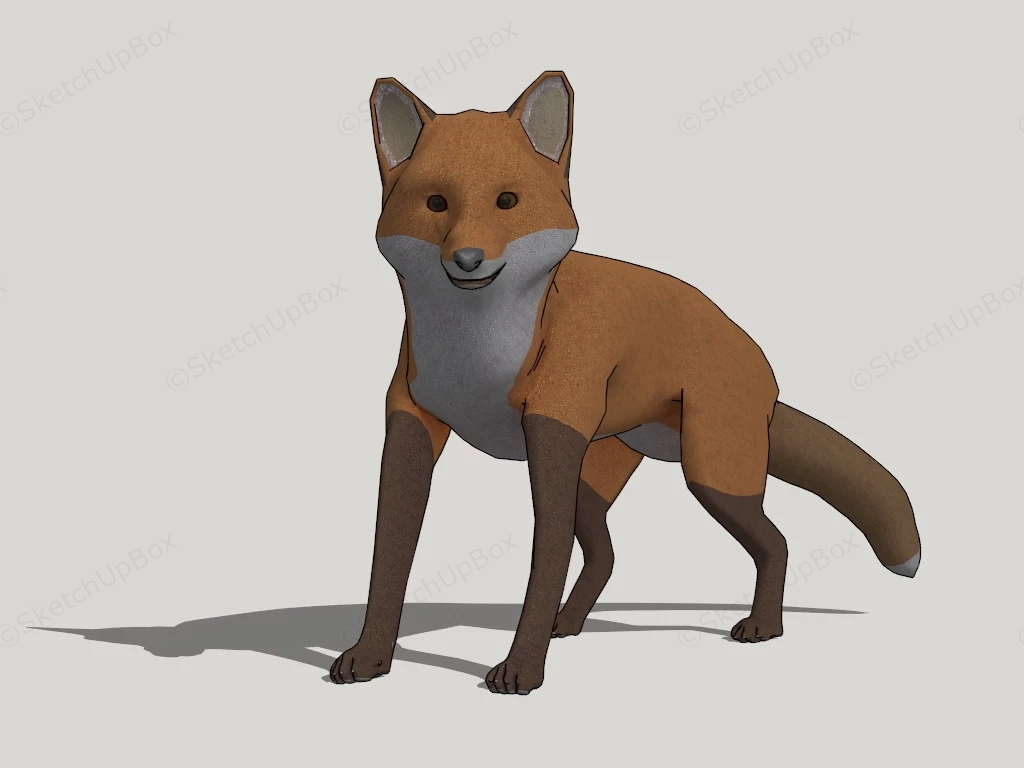 Red Fox sketchup model preview - SketchupBox
