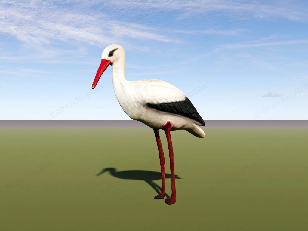 White Stork Bird sketchup model preview - SketchupBox