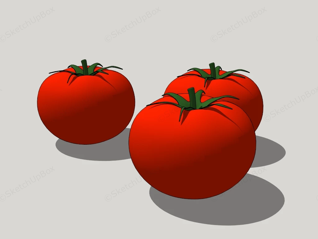 Fresh Tomatoes sketchup model preview - SketchupBox