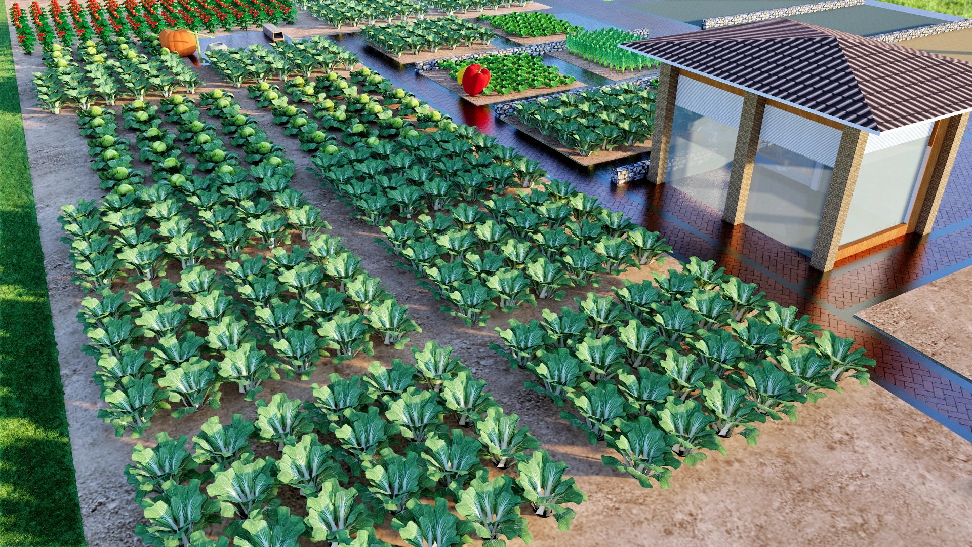 Small Vegetable Farm sketchup model preview - SketchupBox