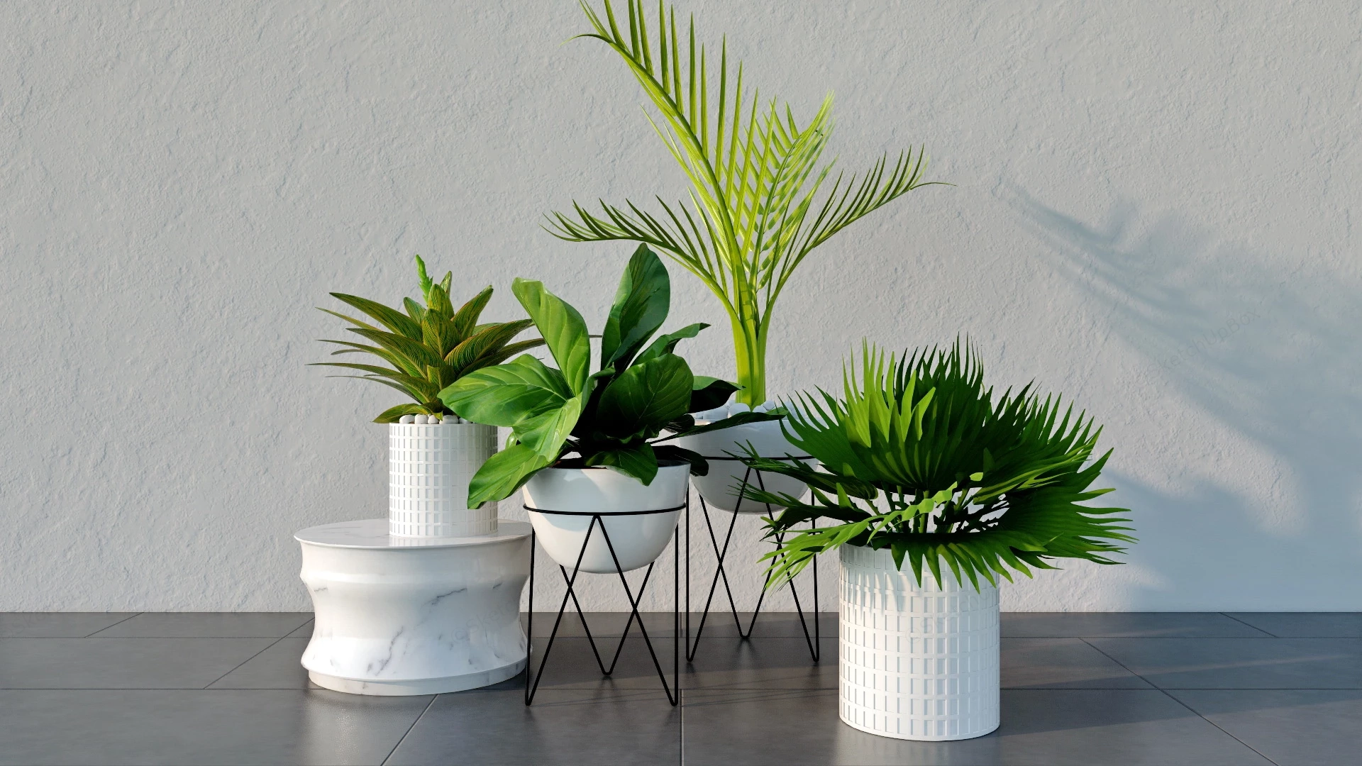 Indoor Garden Plants sketchup model preview - SketchupBox