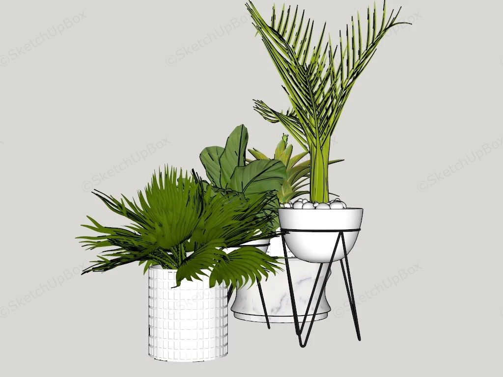 Indoor Garden Plants sketchup model preview - SketchupBox