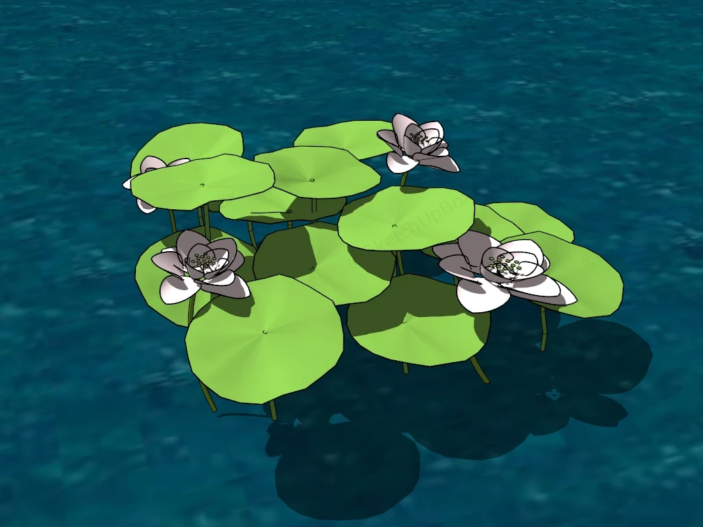Pink Lotus Plant sketchup model preview - SketchupBox