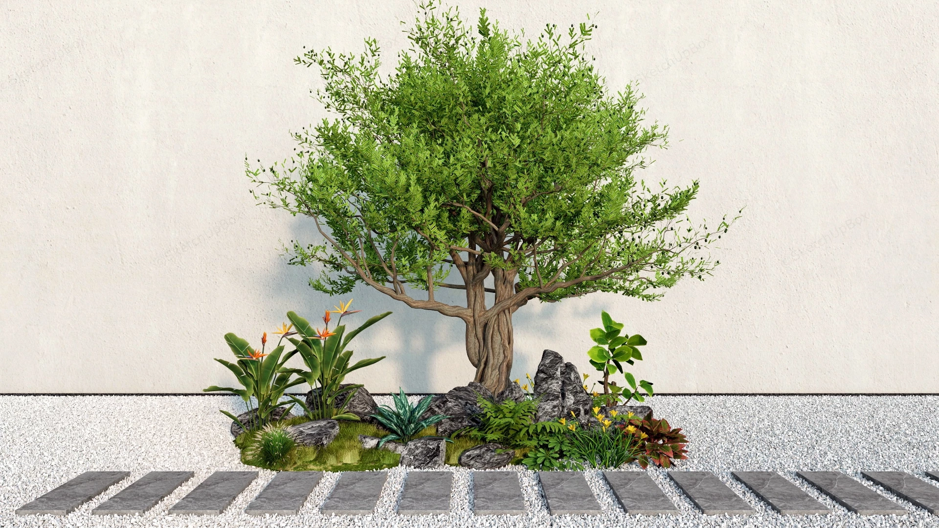 Ornamental Garden Plants sketchup model preview - SketchupBox