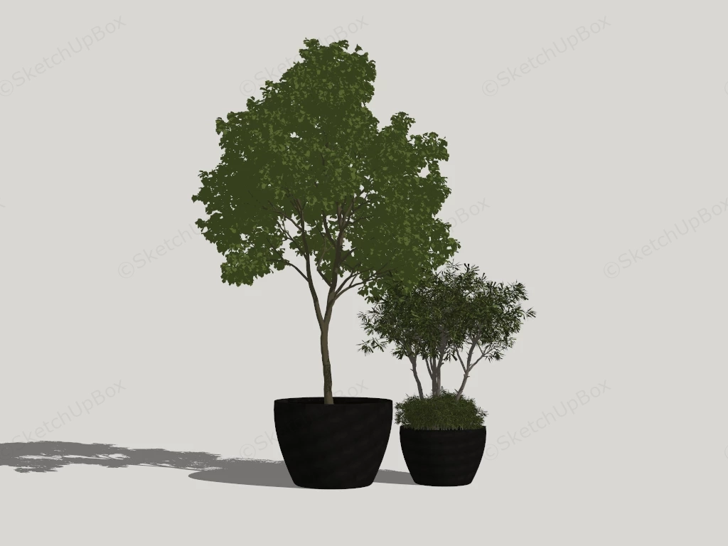 Black Potted Tree sketchup model preview - SketchupBox