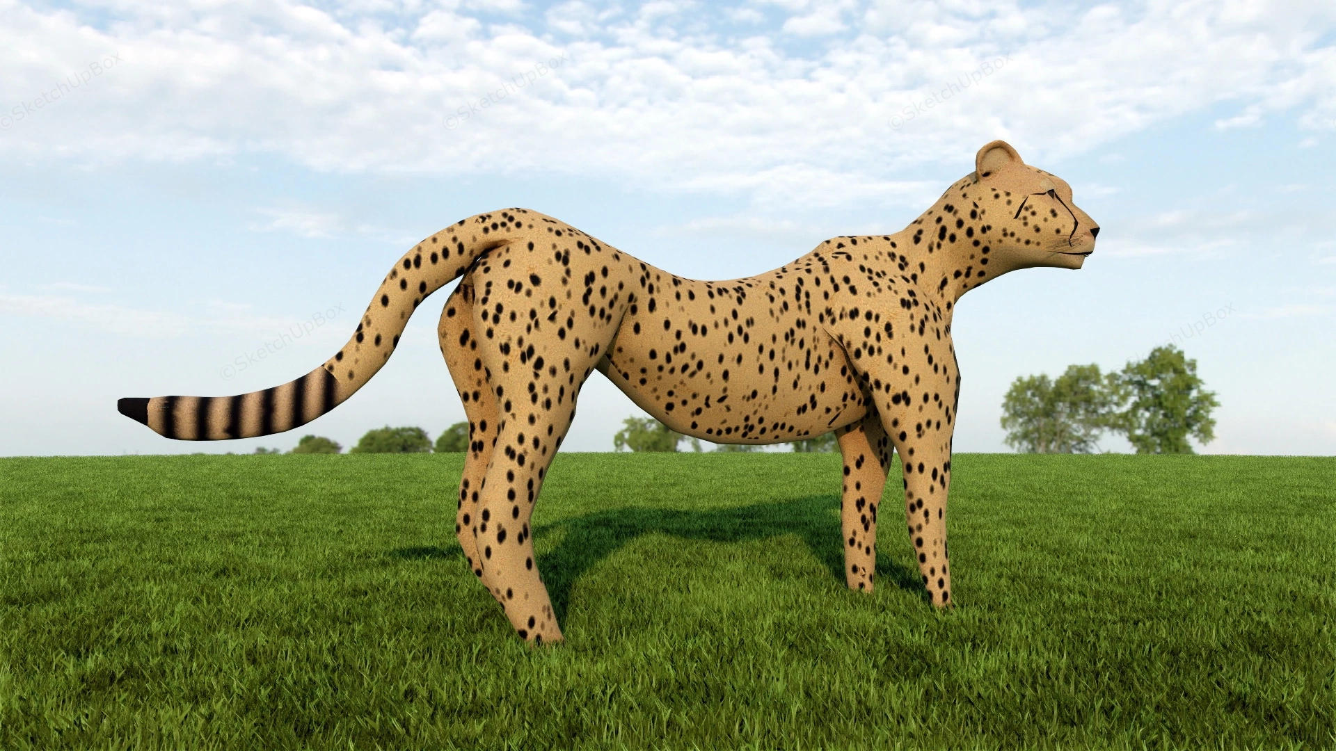 Cheetah Animal sketchup model preview - SketchupBox