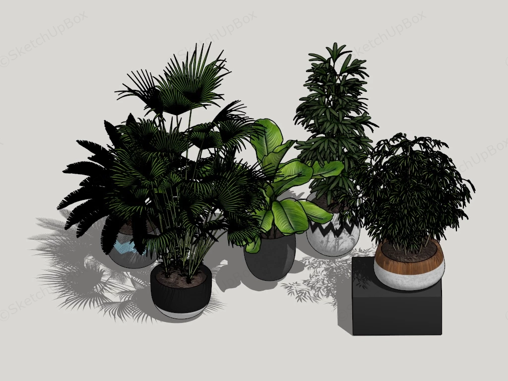 Large House Plants sketchup model preview - SketchupBox