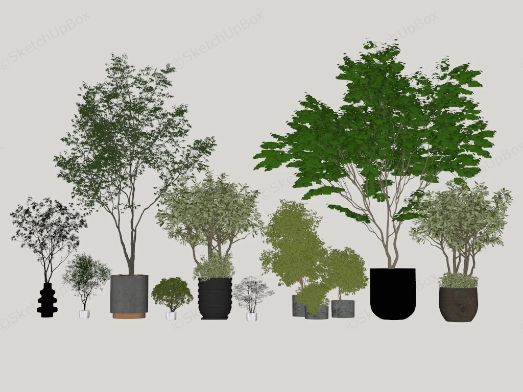 Potted Plants sketchup model preview - SketchupBox