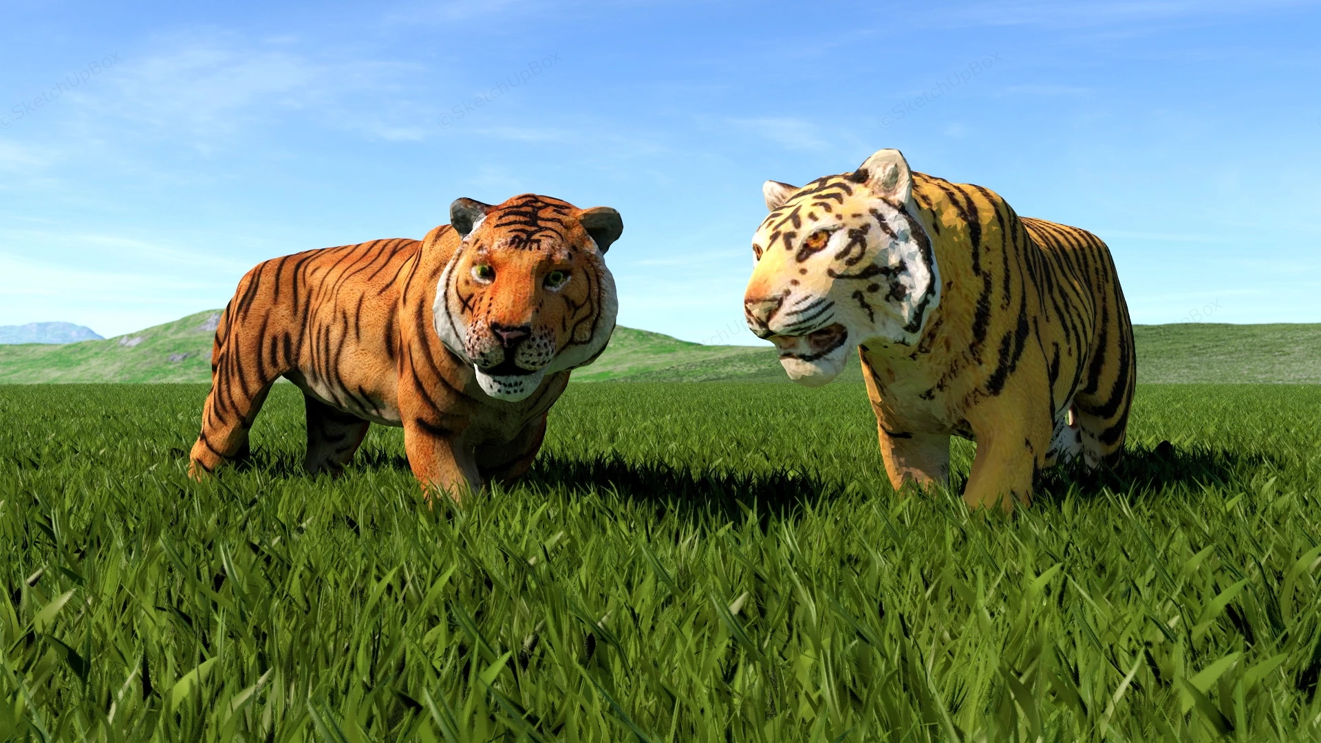 Orange Tigers sketchup model preview - SketchupBox