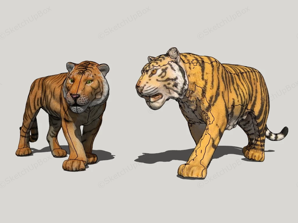 Orange Tigers sketchup model preview - SketchupBox