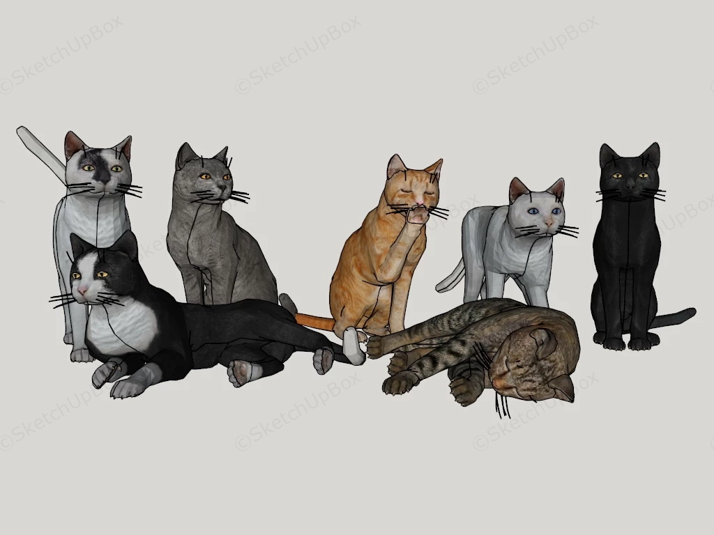 Cat Collection sketchup model preview - SketchupBox