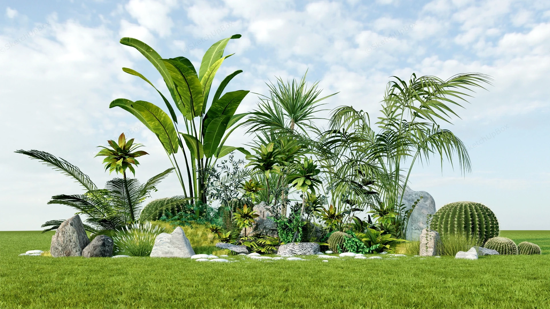 Garden Border Plant Landscaping sketchup model preview - SketchupBox
