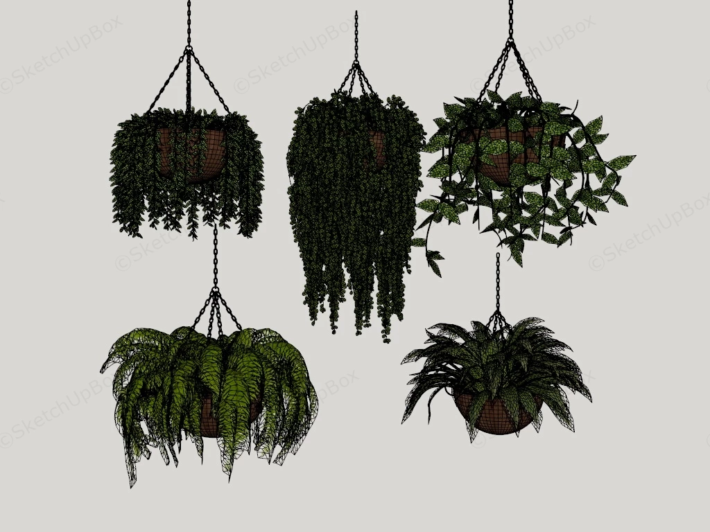 Indoor Hanging Plants sketchup model preview - SketchupBox