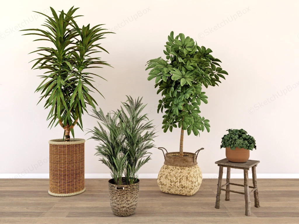 Indoor Plants With Rattan Pots sketchup model preview - SketchupBox