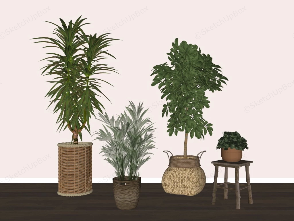 Indoor Plants With Rattan Pots sketchup model preview - SketchupBox