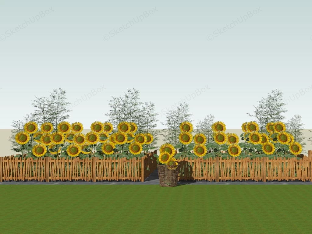 Sunflower Garden sketchup model preview - SketchupBox
