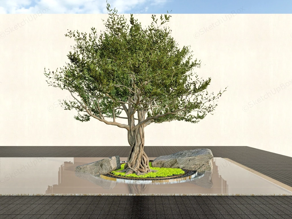 Ancient Olive Tree In The Garden sketchup model preview - SketchupBox