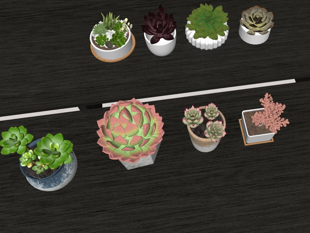Common Succulent Plants sketchup model preview - SketchupBox