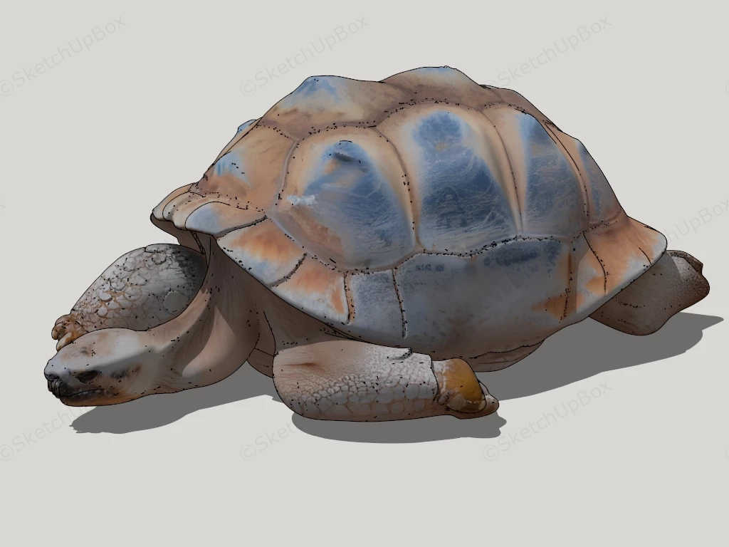 Sea Turtle Statue sketchup model preview - SketchupBox