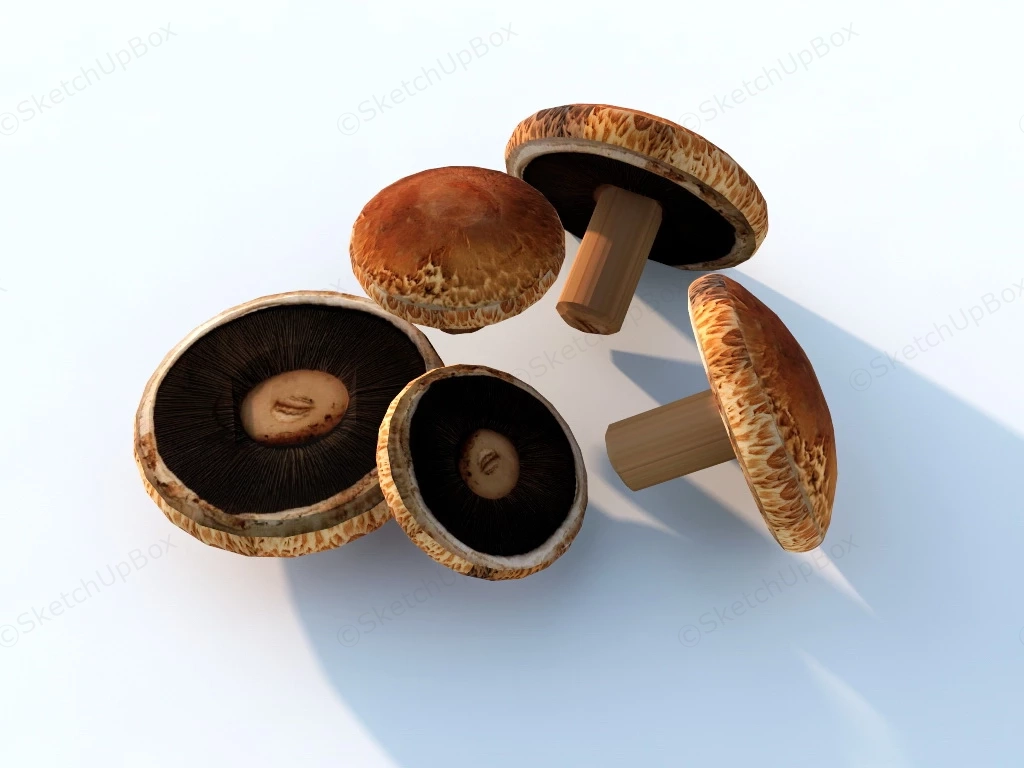 Fresh Mushrooms sketchup model preview - SketchupBox