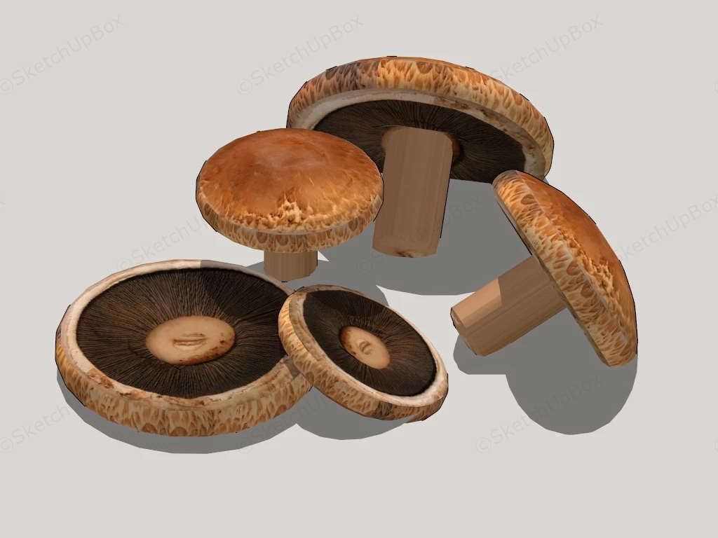 Fresh Mushrooms sketchup model preview - SketchupBox