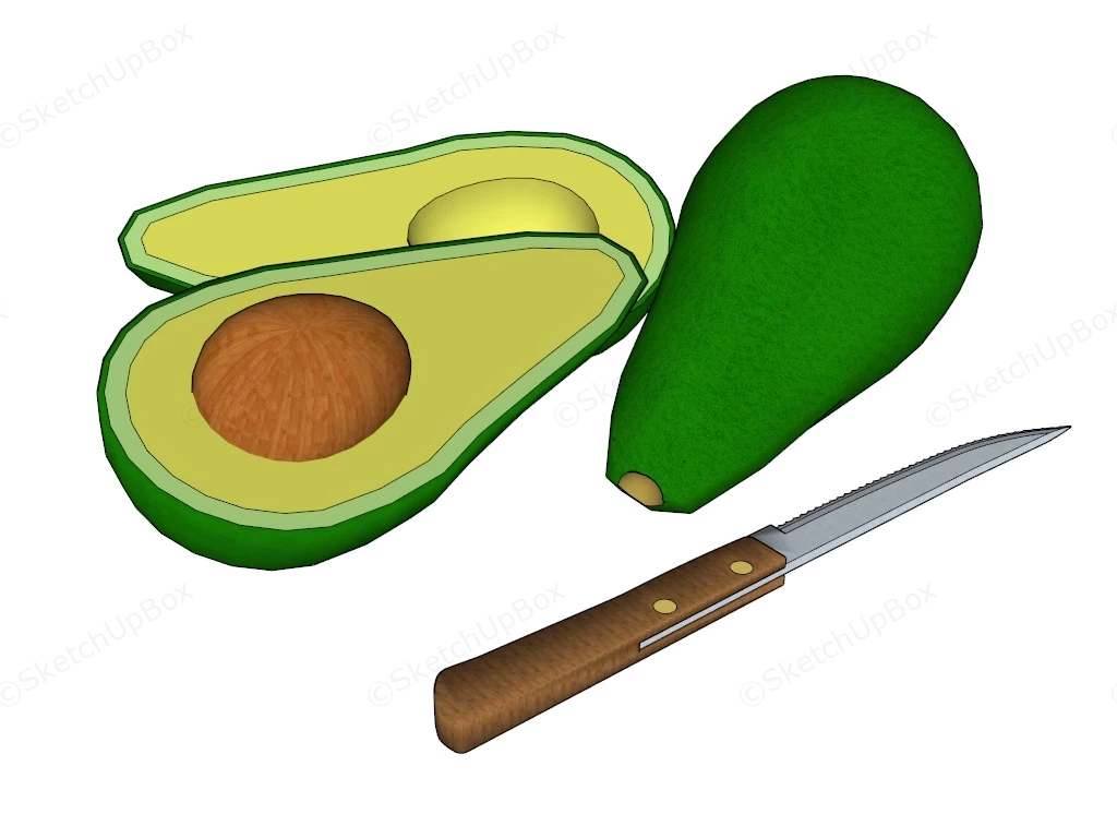 Avocado Fruit sketchup model preview - SketchupBox