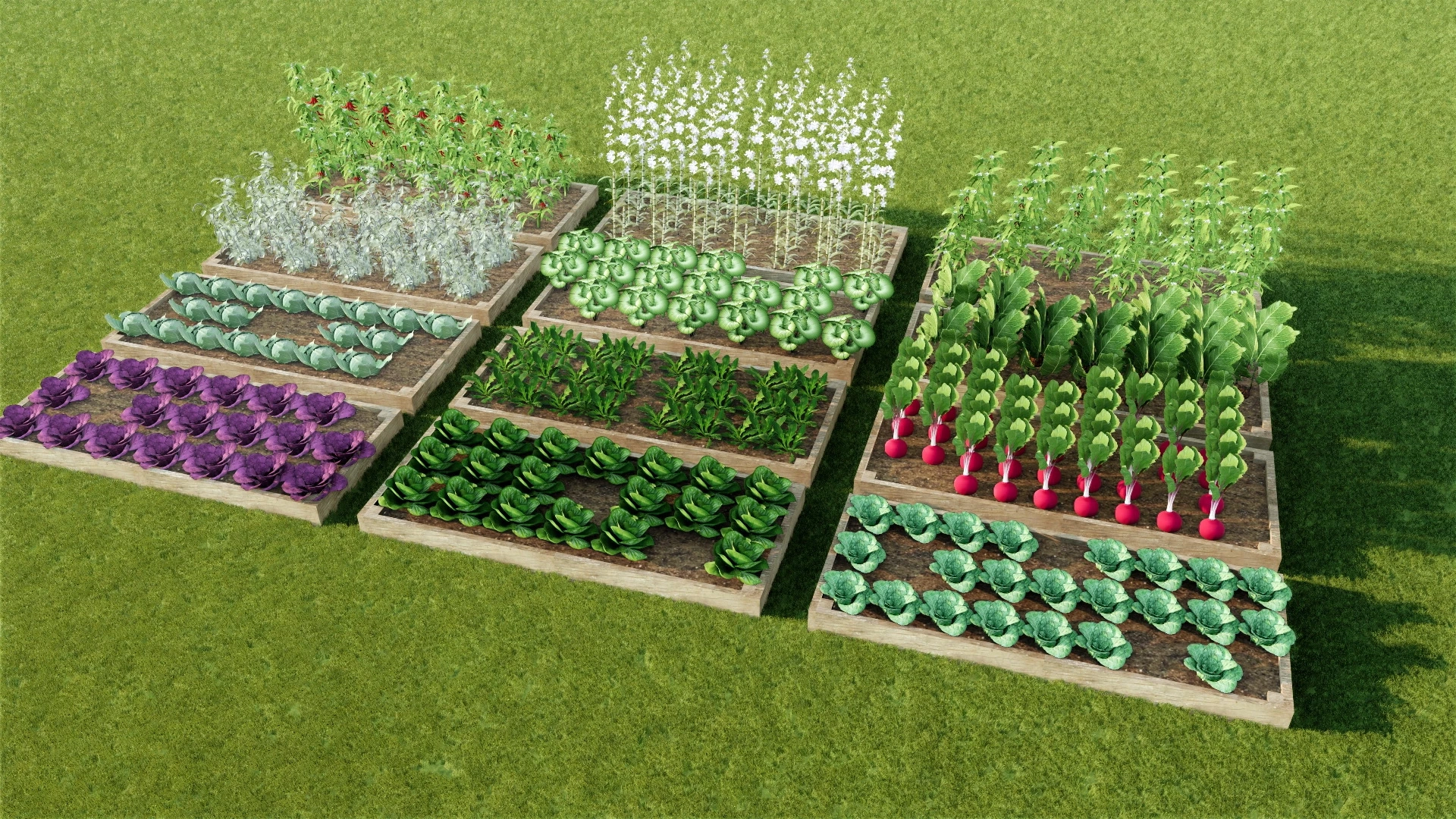Raised Bed Vegetable Garden sketchup model preview - SketchupBox