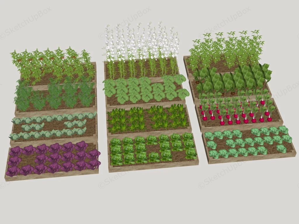 Raised Bed Vegetable Garden sketchup model preview - SketchupBox