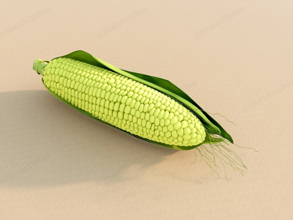 Fresh Corn sketchup model preview - SketchupBox