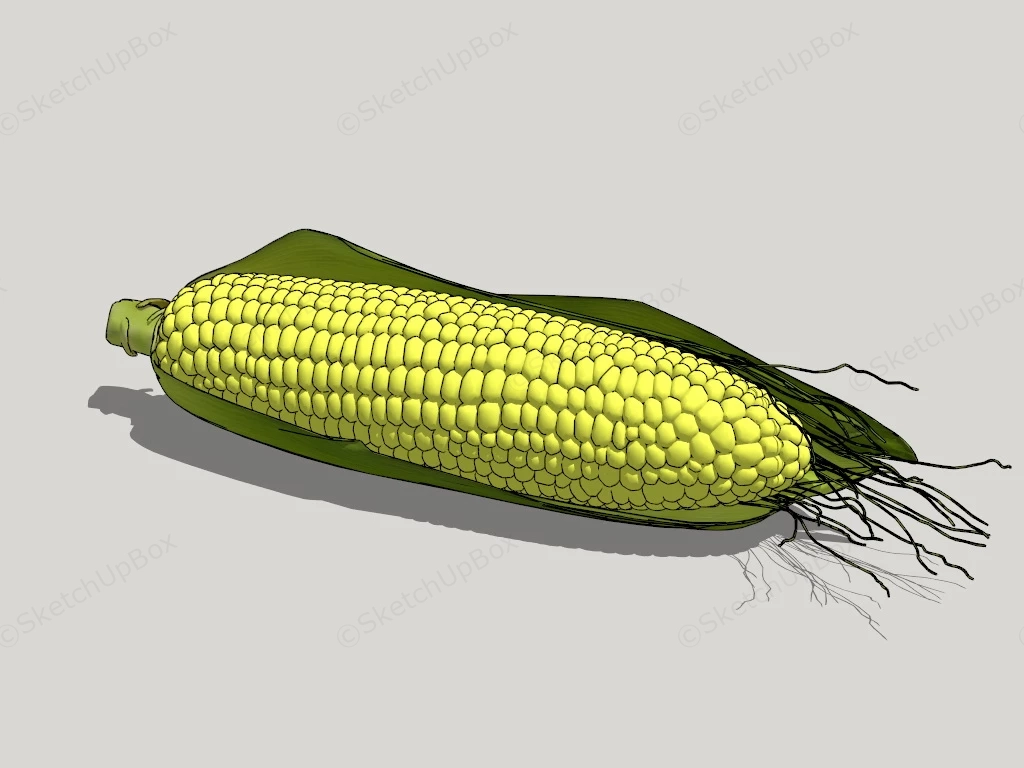 Fresh Corn sketchup model preview - SketchupBox