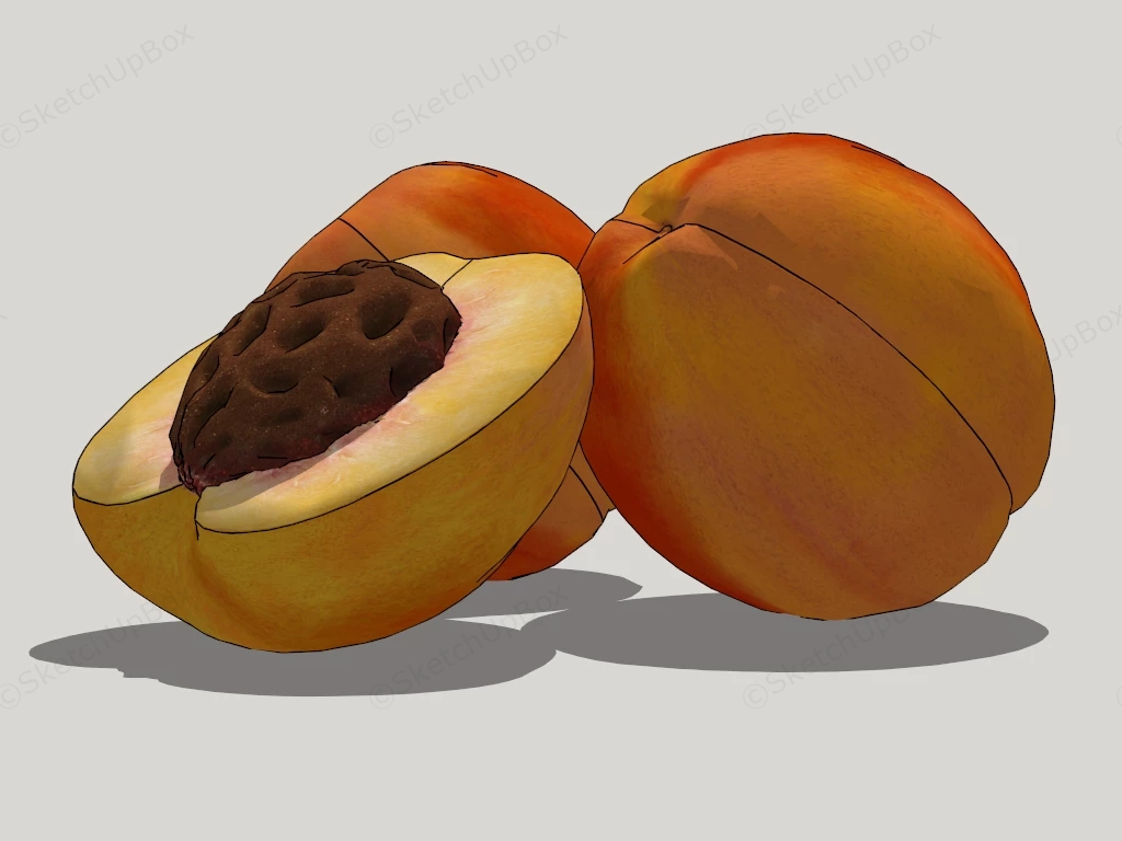 Pink Peach Fruit sketchup model preview - SketchupBox