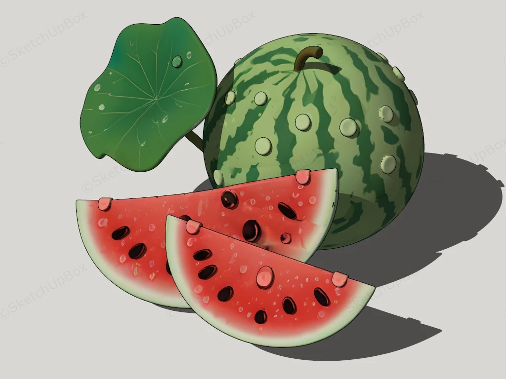 Fresh Watermelon sketchup model preview - SketchupBox