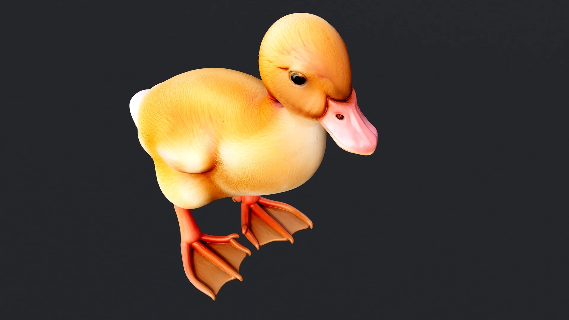 Yellow Duckling sketchup model preview - SketchupBox