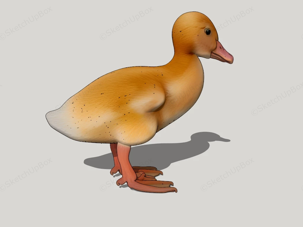 Yellow Duckling sketchup model preview - SketchupBox