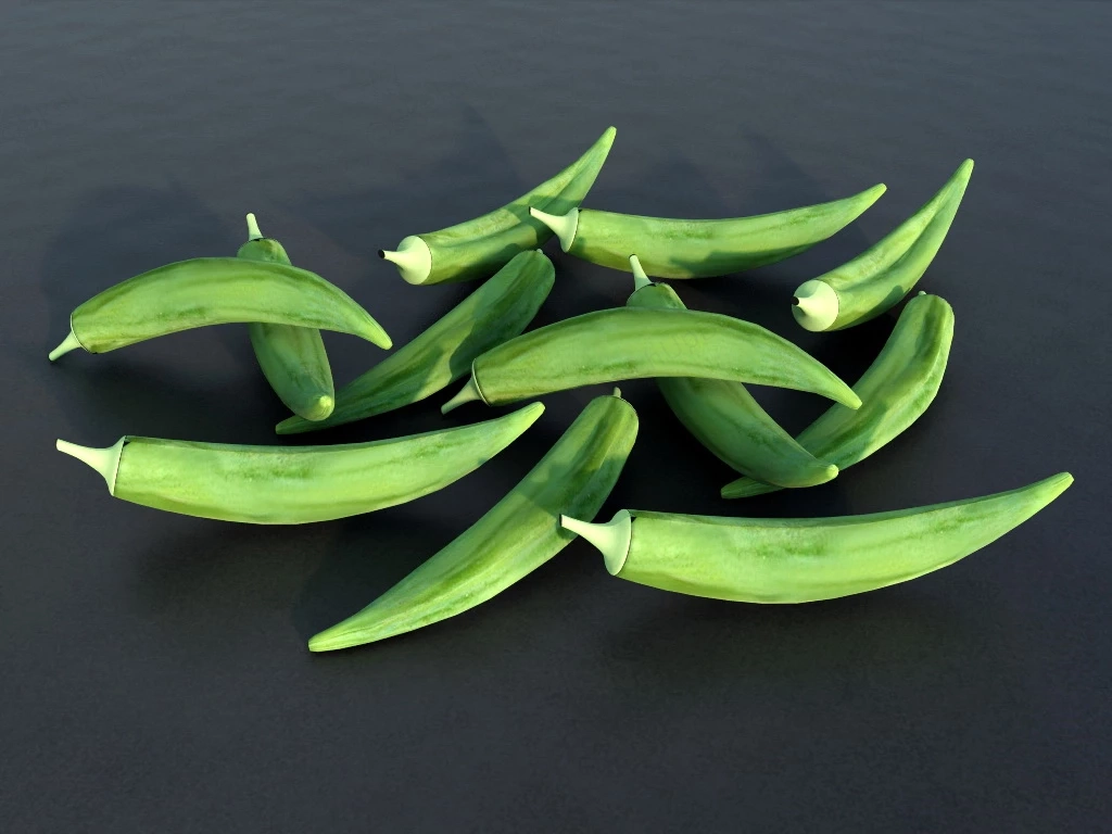 Okra Vegetable sketchup model preview - SketchupBox