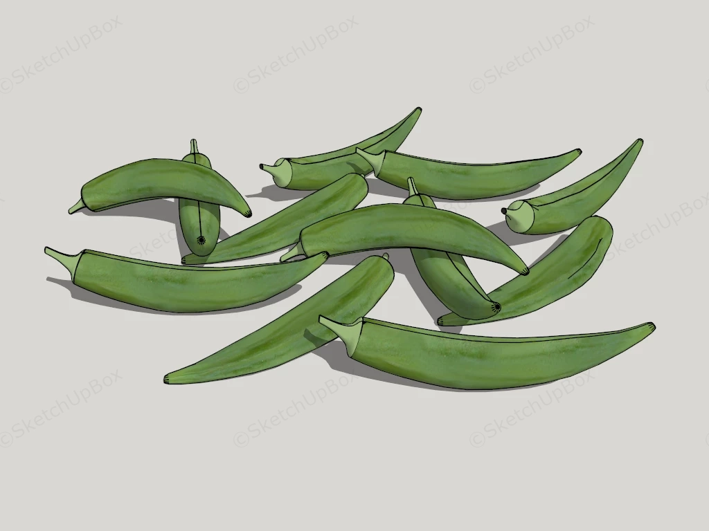 Okra Vegetable sketchup model preview - SketchupBox